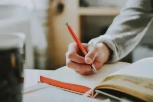 Online English and English Literature lessons
